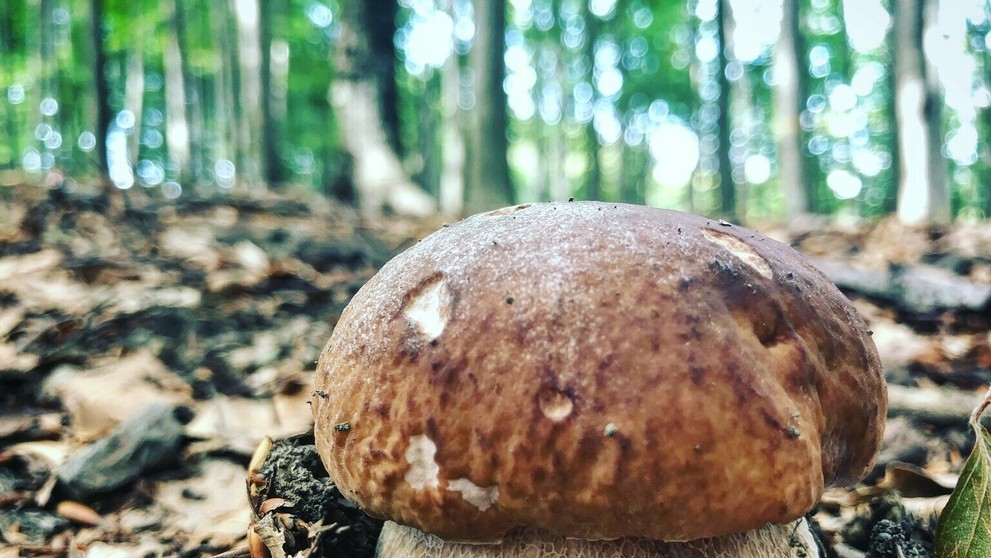 Archívna snímka Erika Valentoviča.