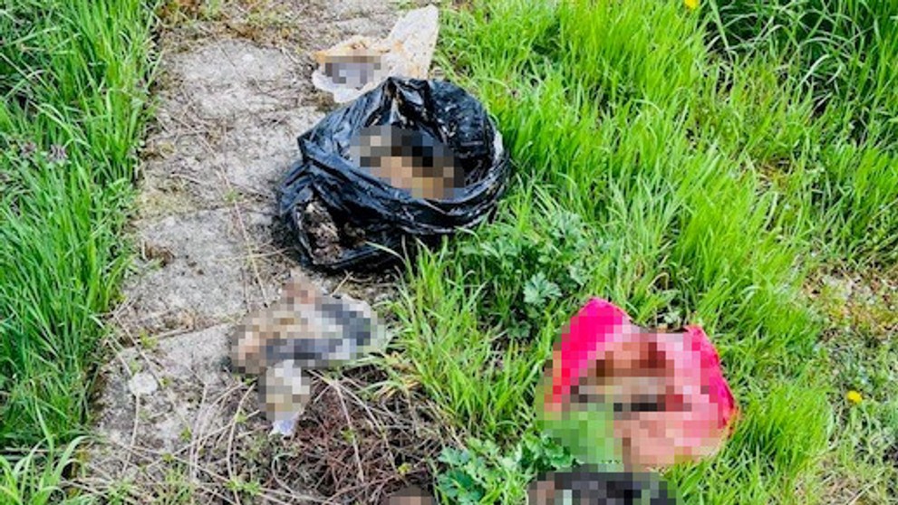 Psov držala v katastrofálnych podmienkach.