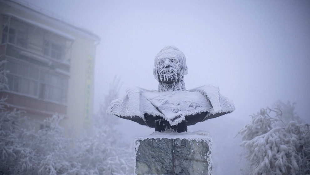 Busta pokrytá snehom a ľadom.