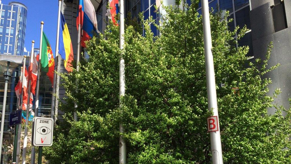 Slovenskí europoslanci na plote