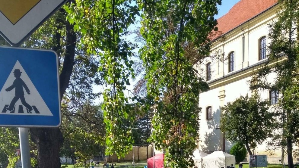 Zuzka Fečová je v šiestom mesiaci tehotenstva