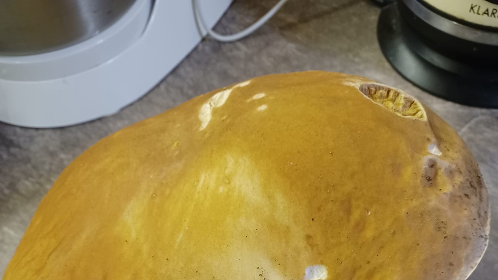 Jeden záber zo severovýchodného Slovenska z Bardejova vďaka Ivete Volčkovej Ujackej