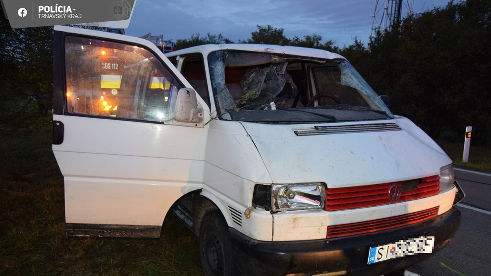 Laň prerazila čelné sklo a skončila na zadných sedadlách.