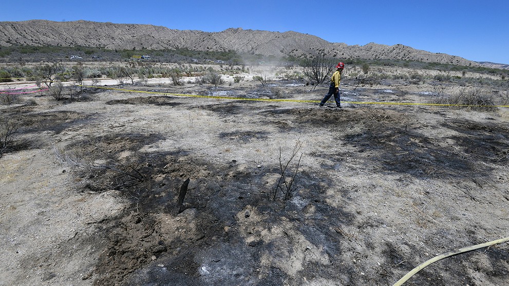 James Horner zahynul pre leteckom nešťastí