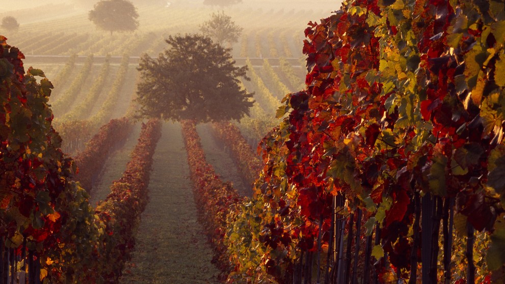 Ilustračná snímka.