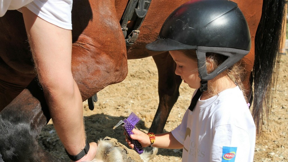 Na priaznivé účinky koní na ľudí 