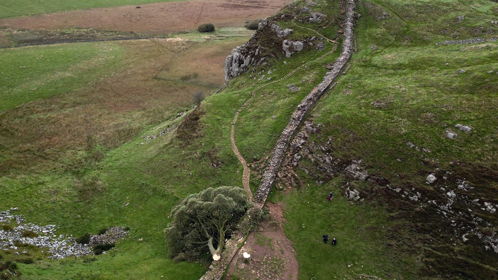 udia sa pozerajú na takmer 200-ročný javor horský, ktorý zoťal 16-ročný mladík na mieste zvanom Sycamore Gap.