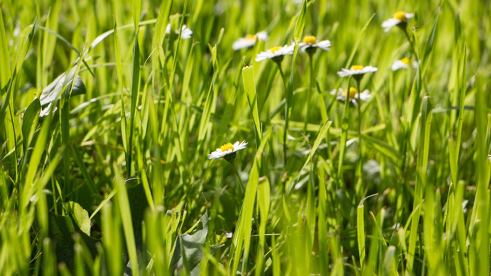 Ilustračná snímka.