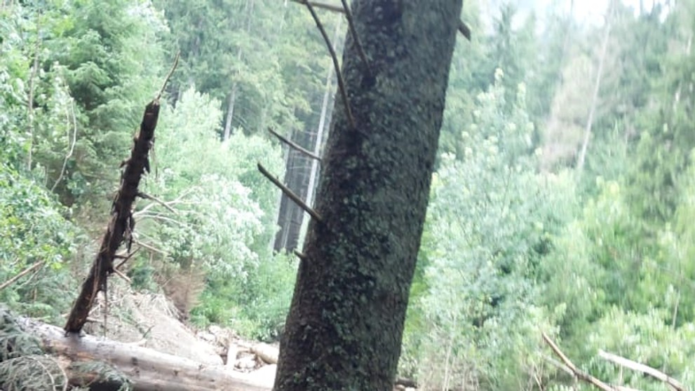 Deň po nešťastí v Monkovej doline.