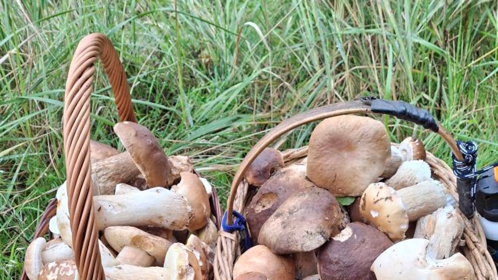 Eva hovorí o nedeľnej psychohygiene