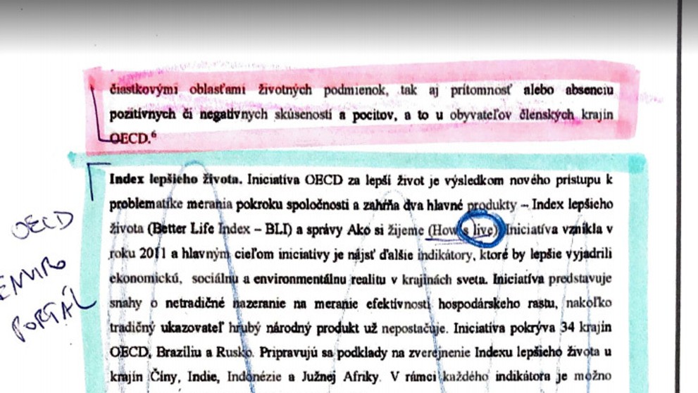 Riaditeľka DSS Domu Sv. Martina Eva Hromková.