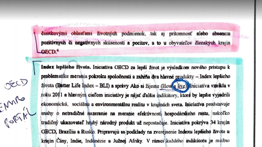 Riaditeľka DSS Domu Sv. Martina Eva Hromková.