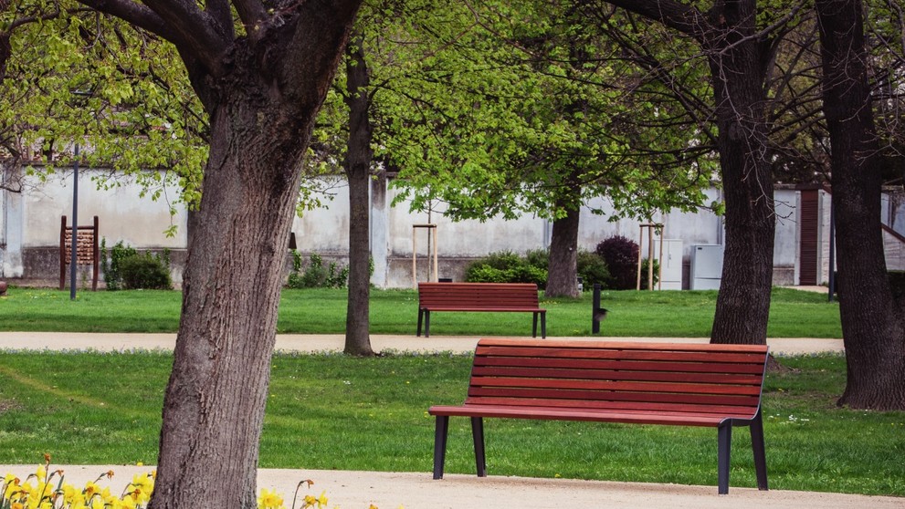 448459980_768101232180660_3717572474067202397_n