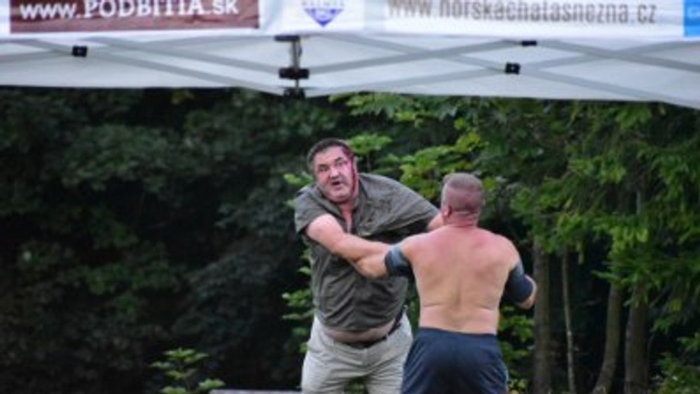 Bitka v obci Mojtín