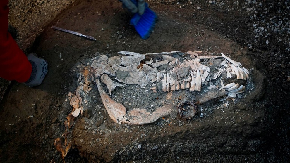 Nový objav v Pompejách