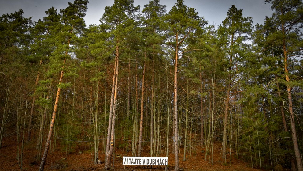 Pomáha aj dôchodca.