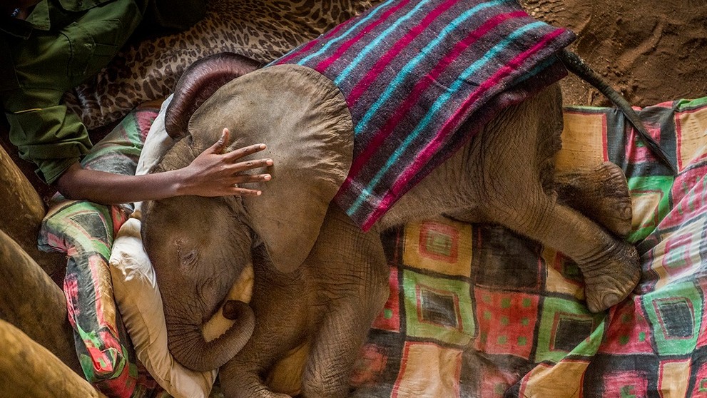 World Press Photo 2018