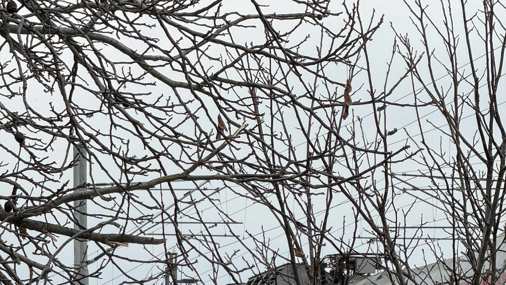 Takto to na mieste nehody vyzerá v pondelok (10. 11.)