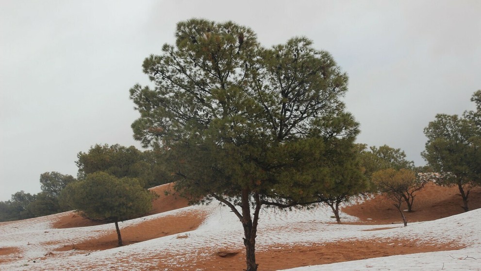 Sneh a ľad na Sahare.
