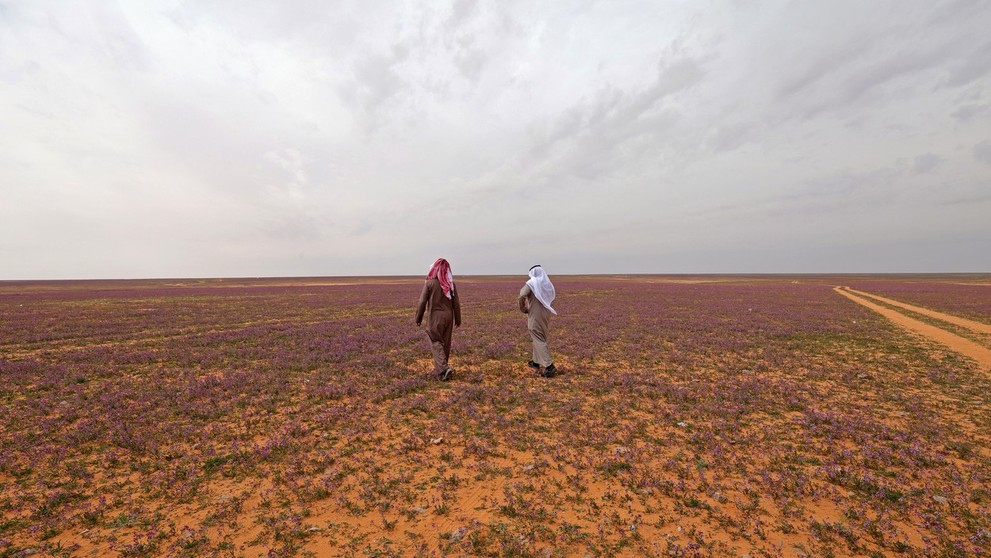 profimedia-0755949008