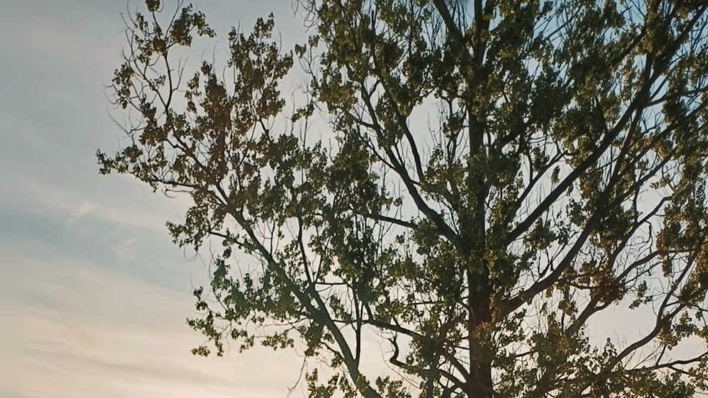 Vážna nehoda v okrese Rimavská Sobota.