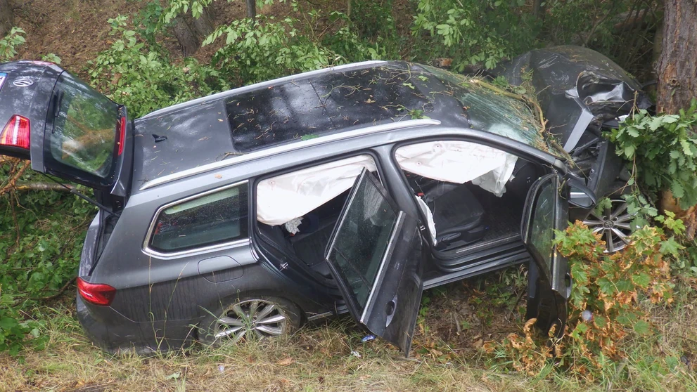Auto vrazilo do stromu