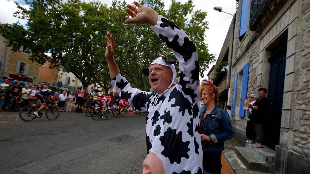 Fanúšik prezlečený za kravu povzbudzuje pretekárov počas 12. etapy Tour de France