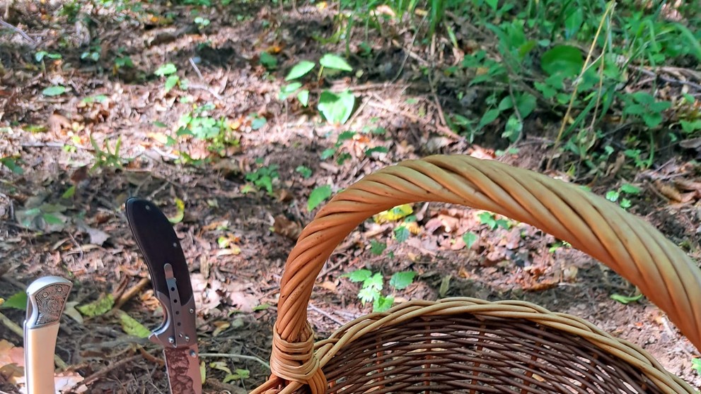 Kôš plný kuriatok od Gordany Rozičovej v okolí Prešova.