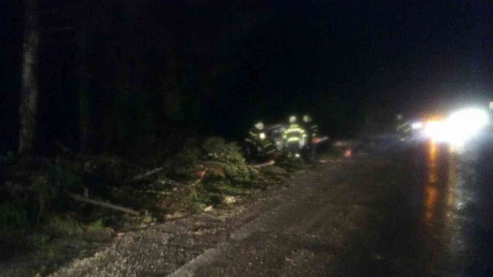 Na mladíka v aute spadol strom.jpg