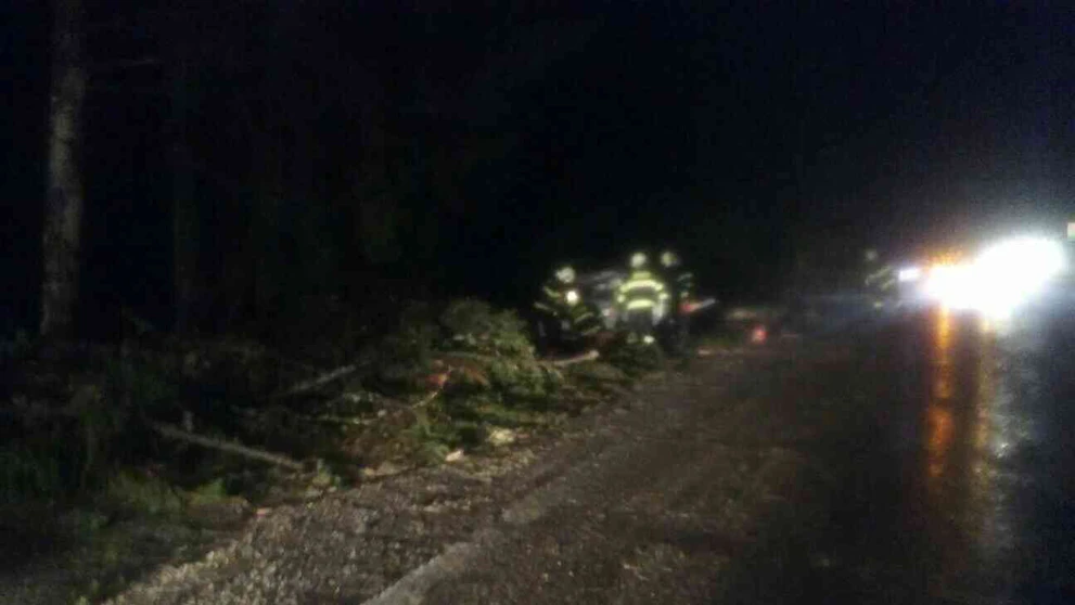 Na mladíka v aute spadol strom.jpg