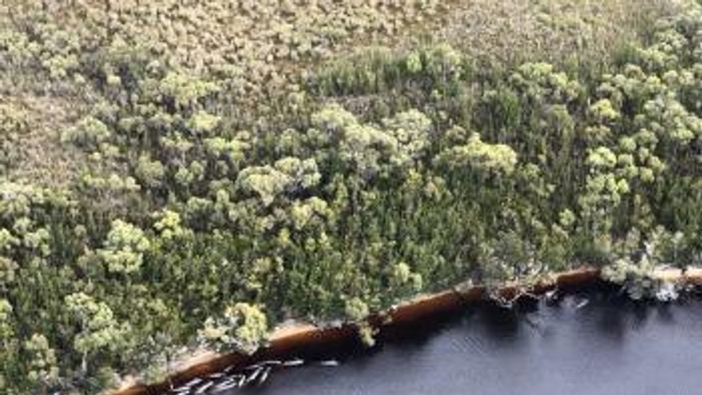 Uhynuté veľryby na pobreží Tasmánie