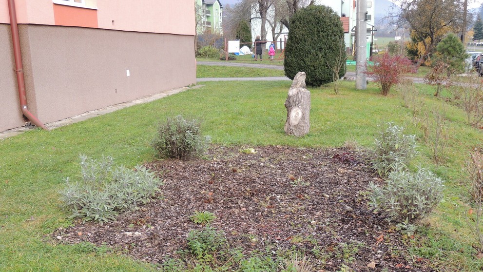 Na snímke ďažďová záhradka pri Základnej škole Župkov
