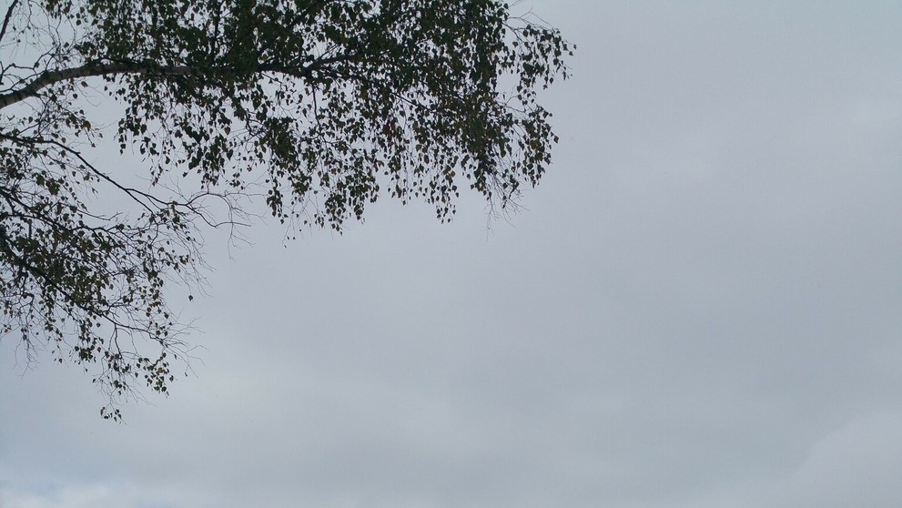 Ždiar - Belianske Tatry 