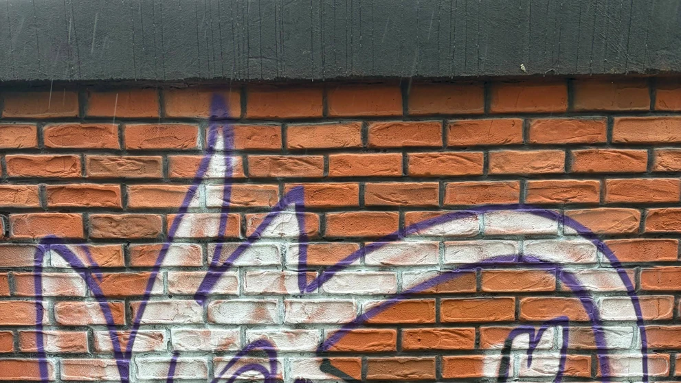 Plot pri Kukurici mal odradiť sprejerov.