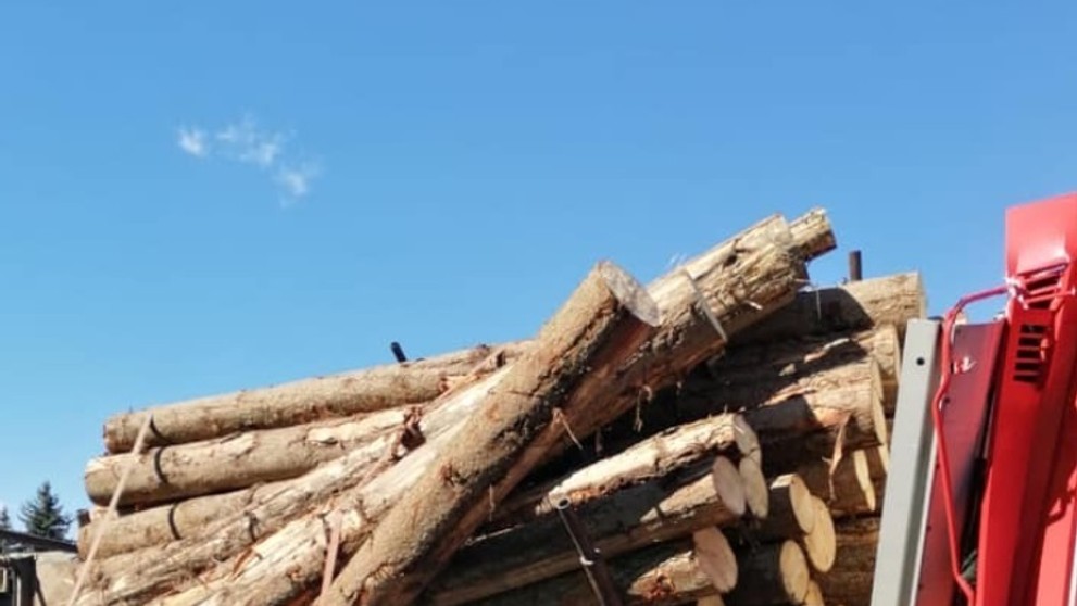 Migrantov spacifikovali policajti.