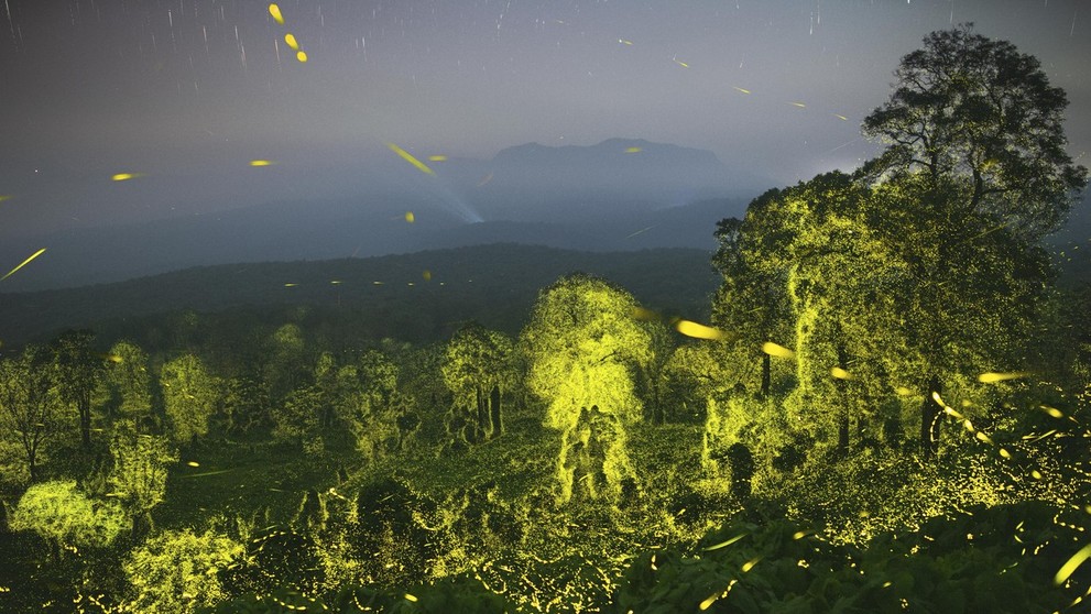 Fantastické svetlá