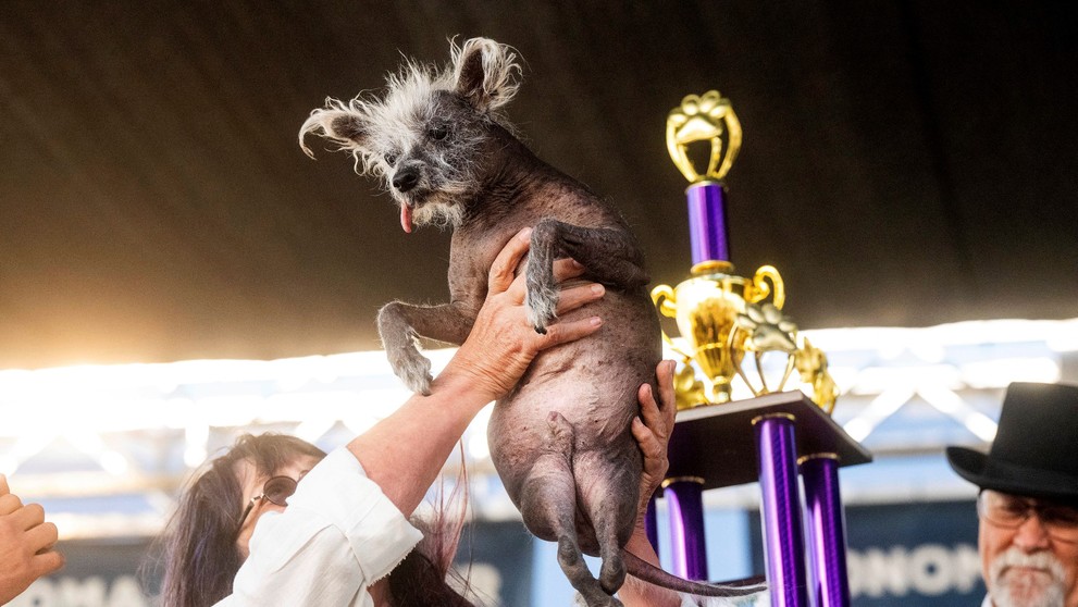 Scooter s paničkou.