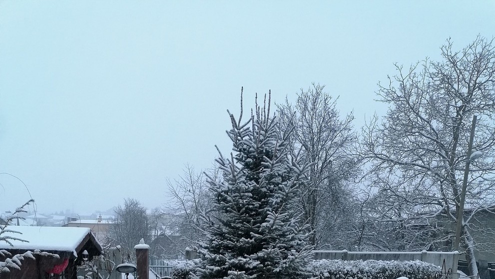 Fintice, EmErika Hibbi