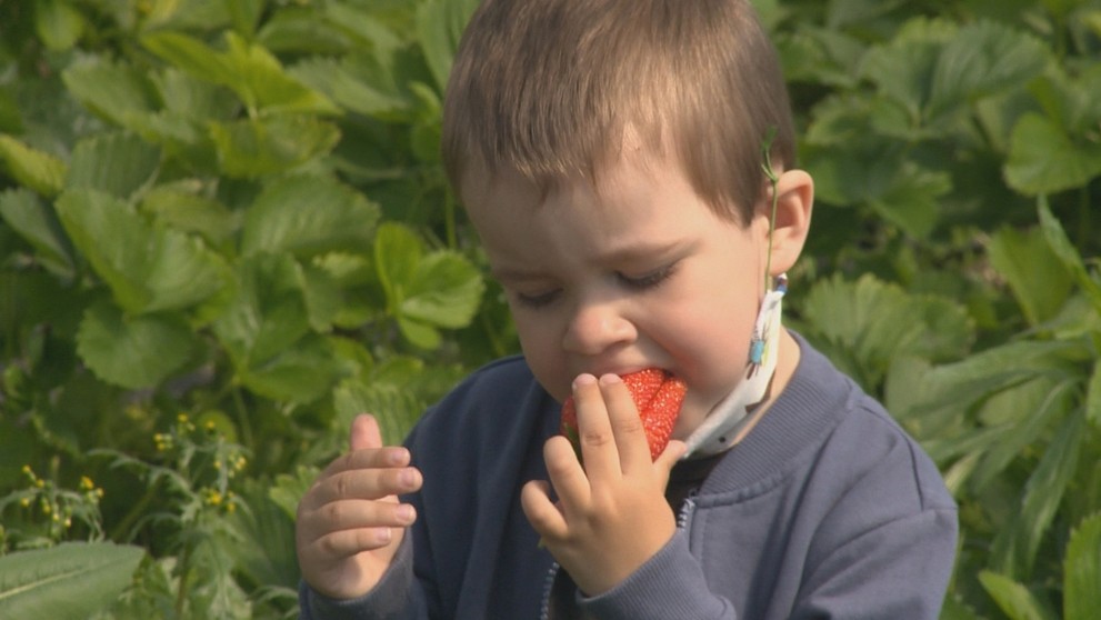 Od 6. mája 2020 sa spustila druhá a tretia fáza otvárania prevádzok 