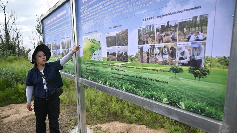 Na tejto fotografii z 11. augusta 2025 študentka Zhang Yanping vysvetľuje projekt zalesňovania suchých a púštnych oblastí, známy ako „Veľký zelený múr“.