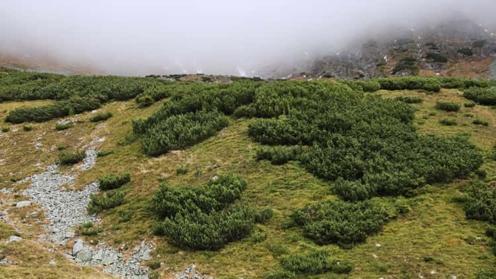 Pátranie po poľskom turistovi.