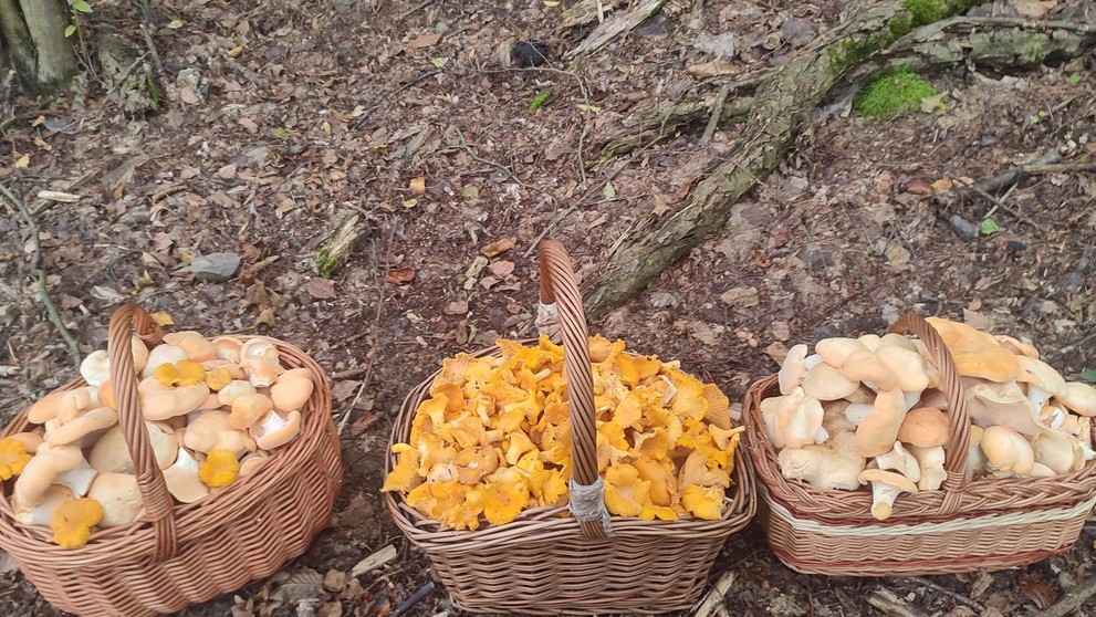 Aj Ján Lušňák v Gelnici nevyšiel naprázdno.