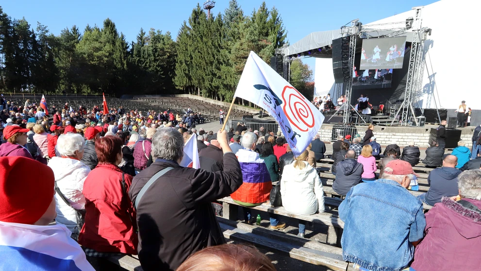 Protivládny čapicový protest Smeru.