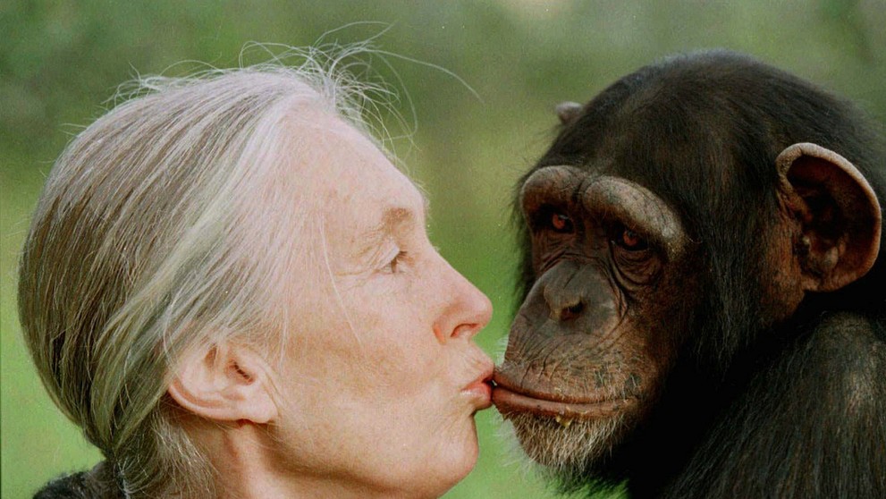 Jane Goodall