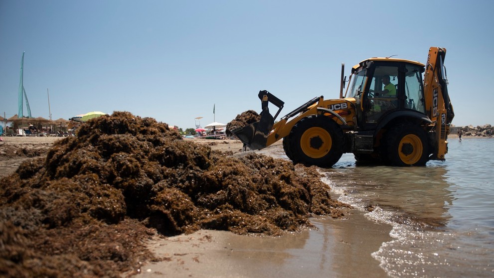 Ázijská riasa ničí pláže Španielska