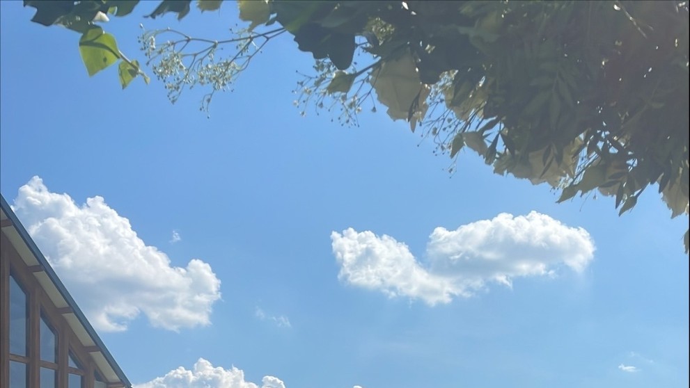 Svadba Terezy a Milana