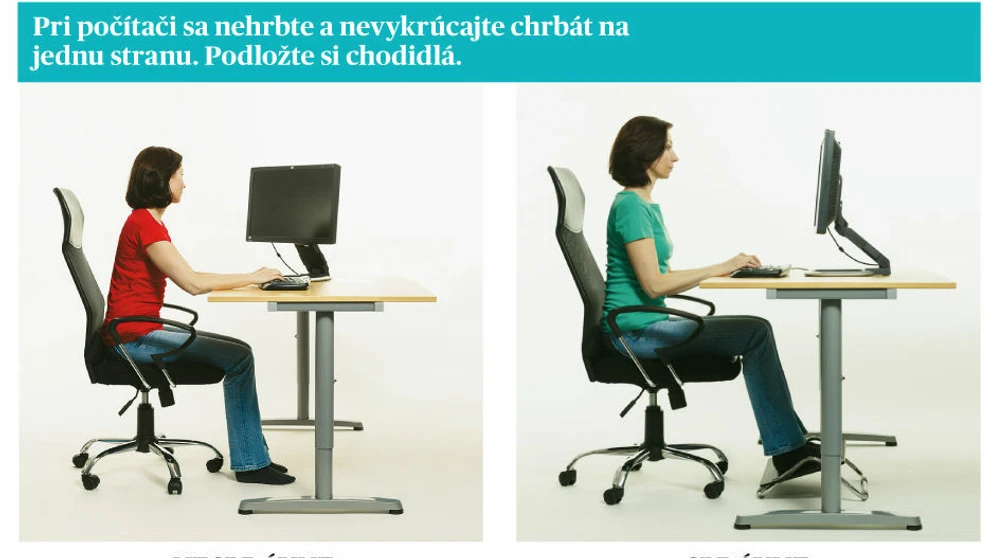 Chrbtica v práci.