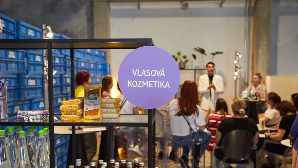 dm Workshopfest 2023