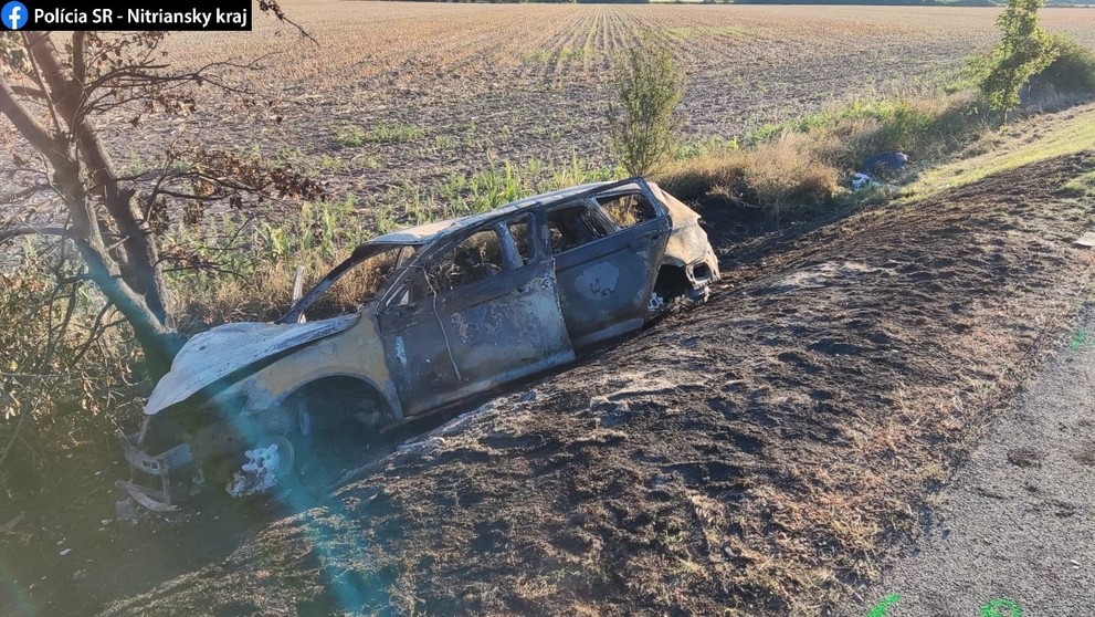 Auto pri unikaní narazilo do stromu