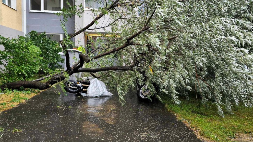 Technický zásah - padnutý strom na motocykle